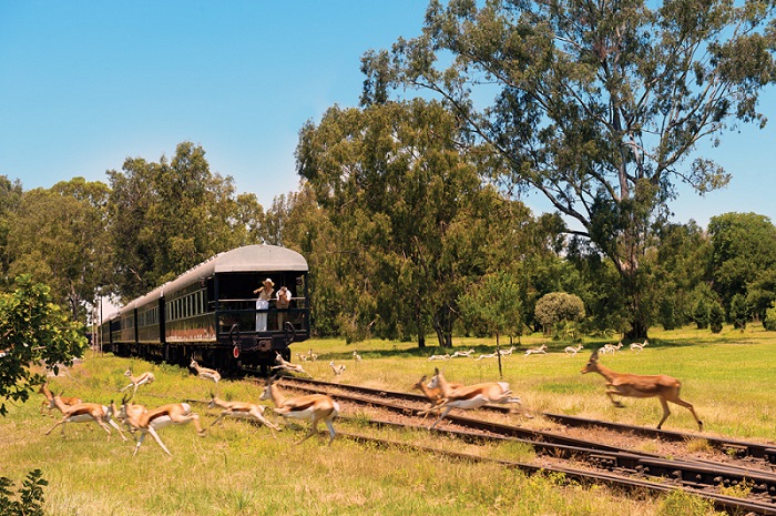 namibia railway safari