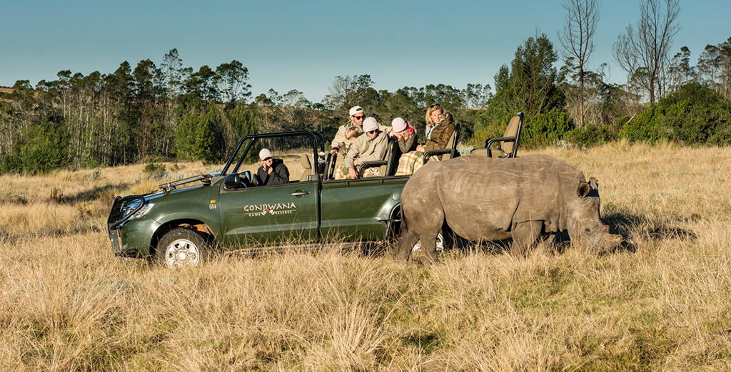 safari tour Gondwana.jpg