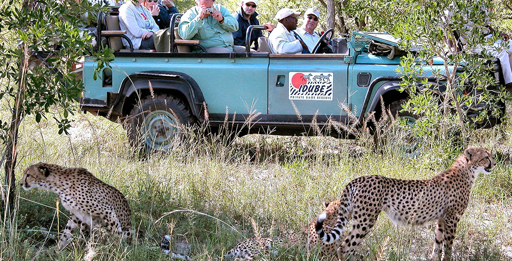 Idube Game Reserve Safari