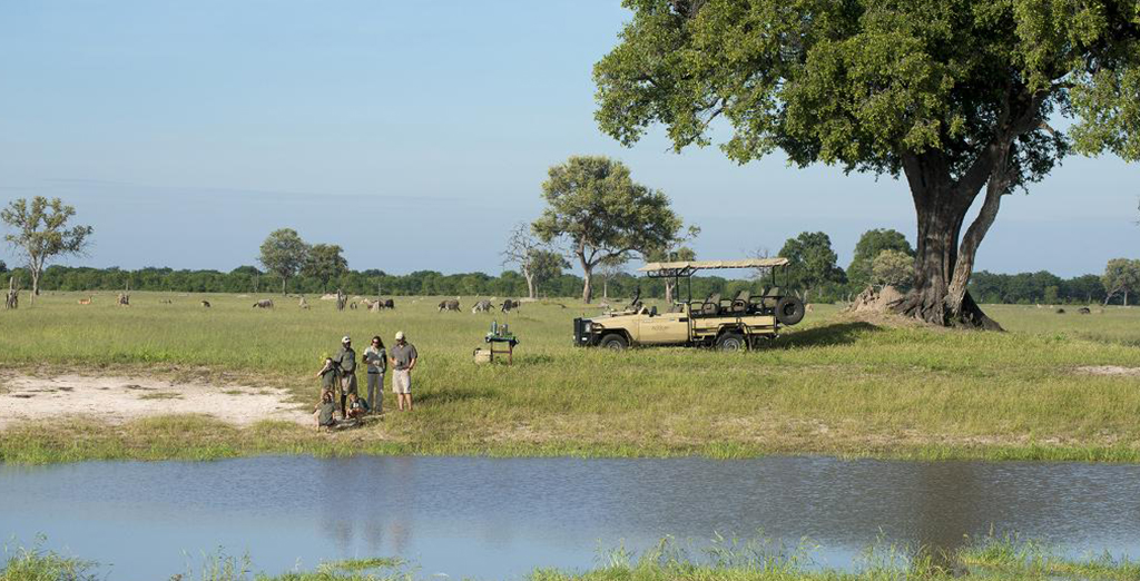 Somalisa Camp Safari