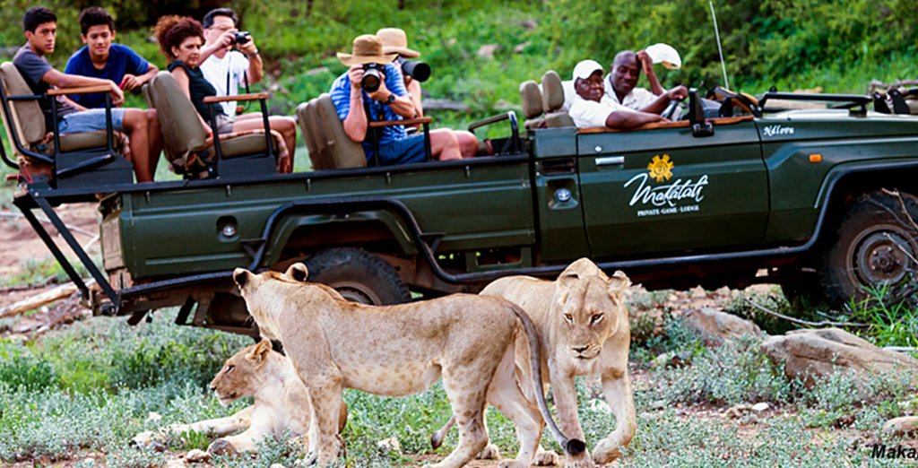 safari tour makalali 1.jpg